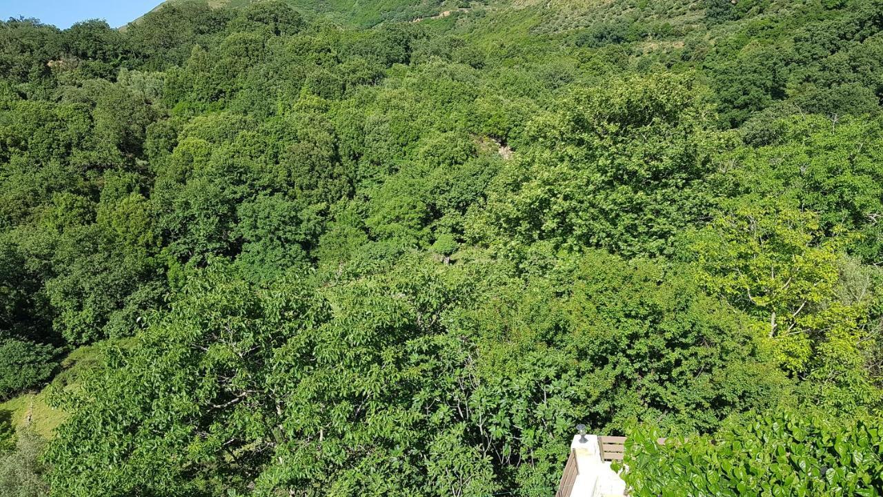 Irini΄S House Villa Alonai Luaran gambar
